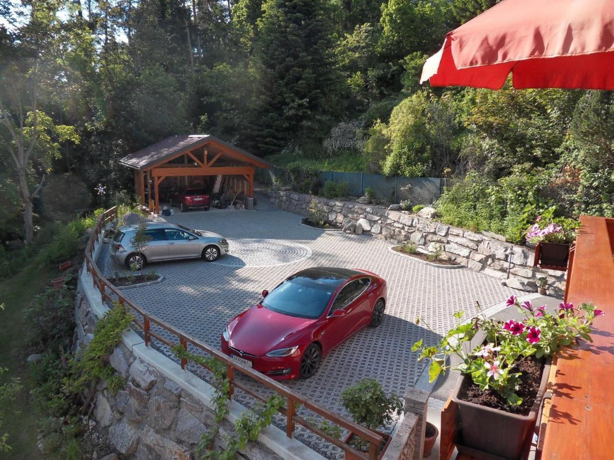 Fewo In Der Weinleiten Millstatt Extérieur photo